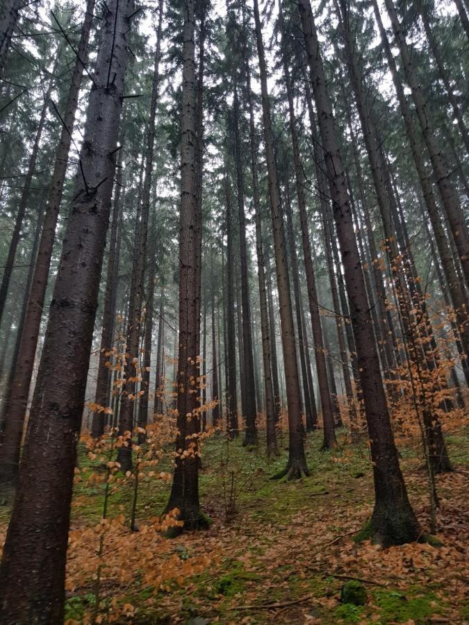 Horska Chata v Srdci Kremnických Hôr Banská Bystrica Exterior foto