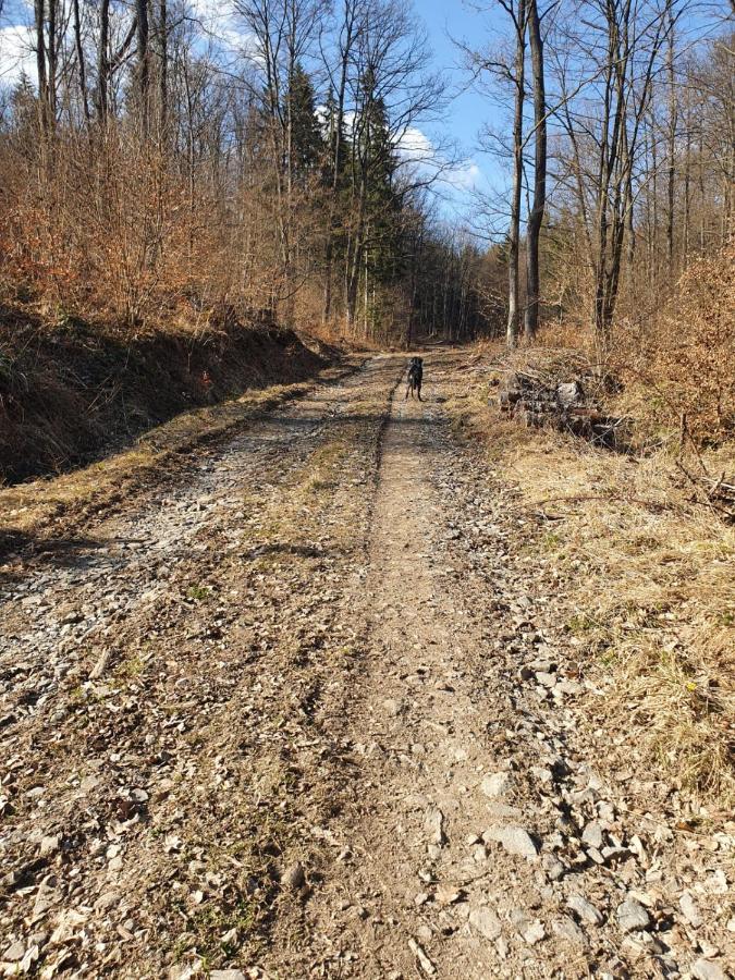 Horska Chata v Srdci Kremnických Hôr Banská Bystrica Exterior foto